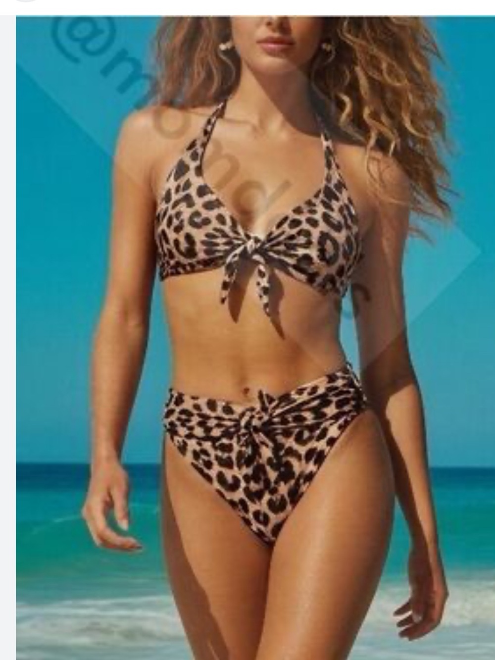 Carmen Marc Valvo Leopard Print Bikini Set Tan/ Black XS
